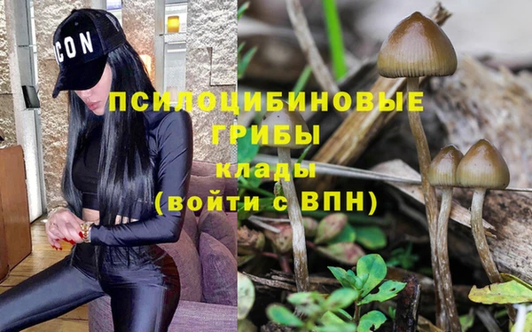 каннабис Абдулино
