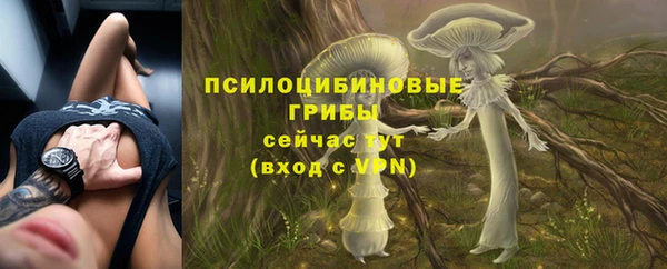 скорость Абаза