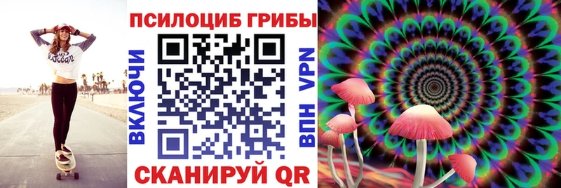 Псилоцибиновые грибы ЛСД Межгорье